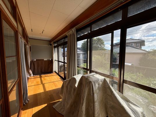 居室から見る日差し
