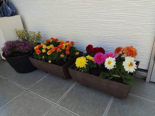 花の並ぶテラス  