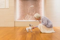 お年寄りとロボット犬の交流