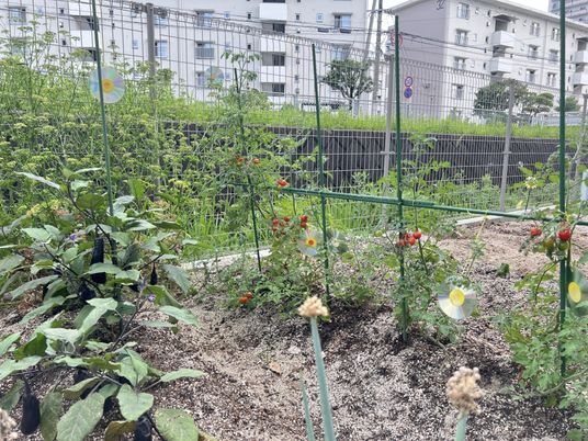 緑豊かな中庭の光景