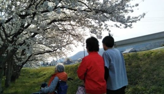 桜を眺める人々の庭