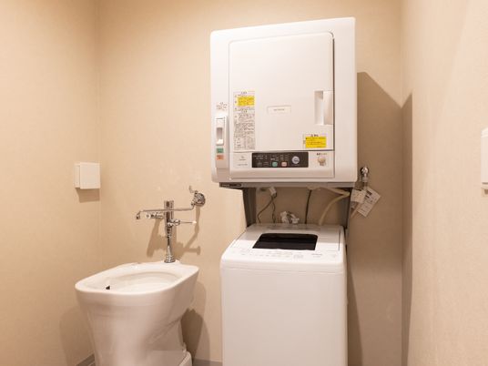 清潔なトイレと洗濯機