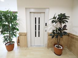 白いドアと緑の植物