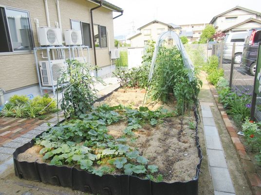 季節の野菜が実る庭