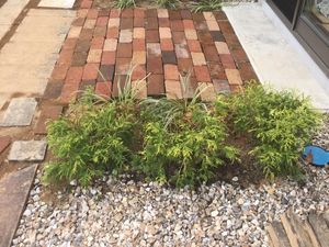 植栽のある中庭  