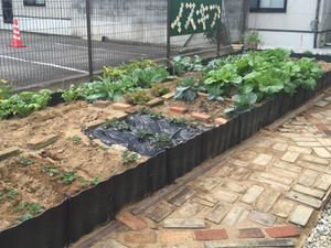 菜園のある庭  