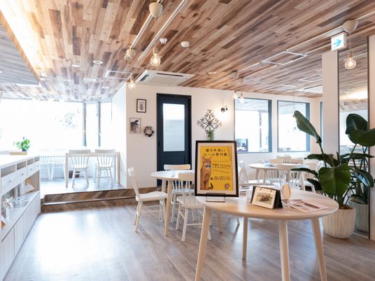 木目調の明るいダイニング