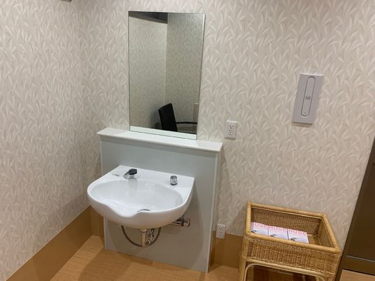 シンプルな洗面台と鏡