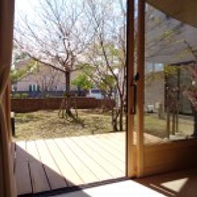 木々が見えるテラス