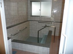 手すり付きの清潔な浴室