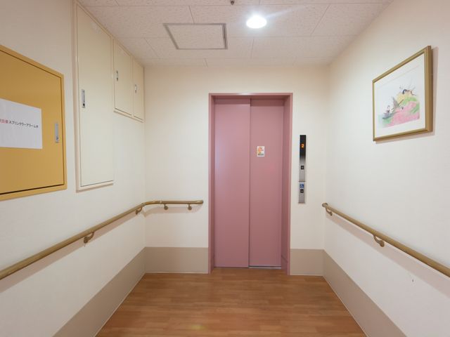 ピンクの扉付き廊下 エレベーター 手すりが備え付けられた温もりのある廊下です。皆様の安全な移動を支える設計になっております。