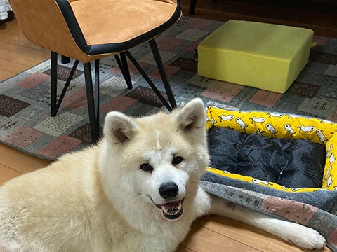 こころ 訪問介護事業所の外観
