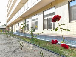 バラがある施設外観