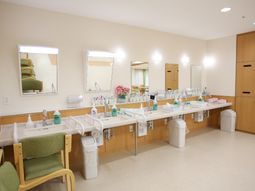 清潔な洗面台と鏡