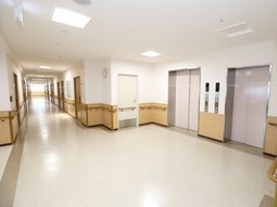 清潔な廊下の風景