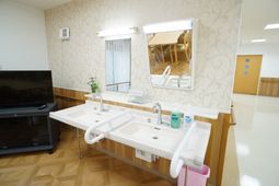 清潔な洗面台とテレビ