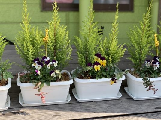 花を飾ったテラス  