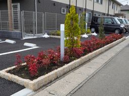整備された駐車場と植栽