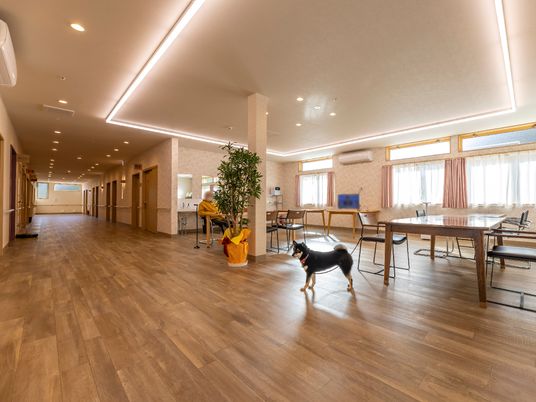 広々とした温かみのある廊下