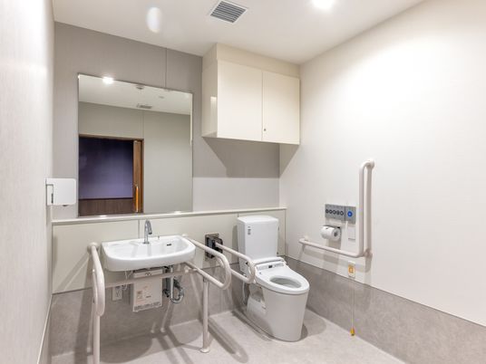 収納棚が付いた広いトイレには手すりが両サイドに付いた手洗い場とトイレがあり、大きな鏡もある。