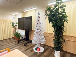 明るいクリスマスツリーの部屋