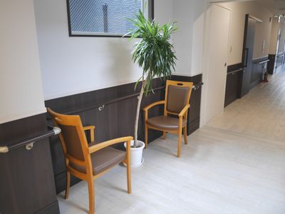 廊下に植物と椅子