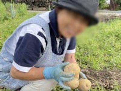 収穫を楽しむ方の様子