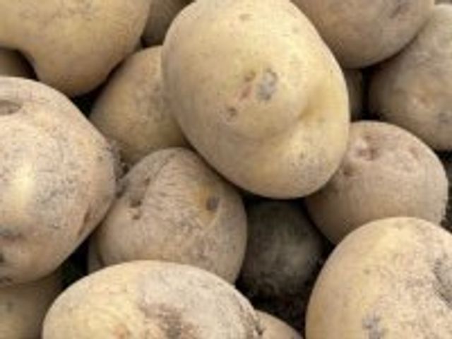 どのような画像か不明です 該当する場所が特定できません 説明できる内容が見当たりません