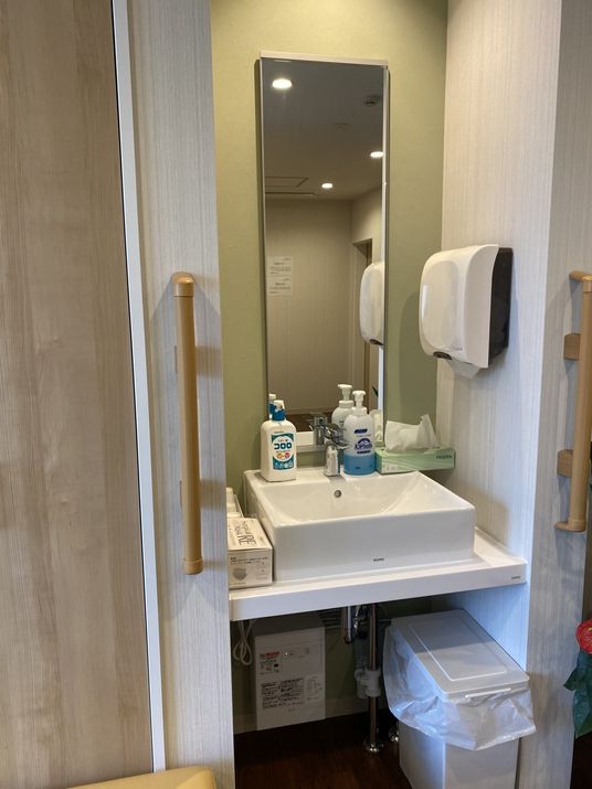 洗面所は車いす対応のデザインで鏡やソープ、ペーパータオルが設置され、両サイドに手すりもある。