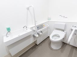 清潔な室内のトイレ