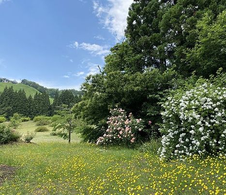 笑顔のケアスタッフと利用者