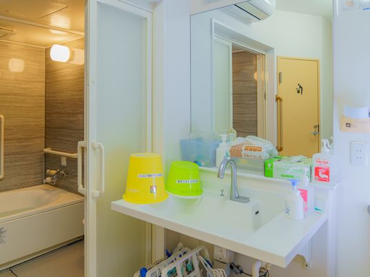 清潔な洗面台と浴室