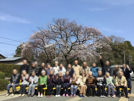 桜の木の前での集合写真