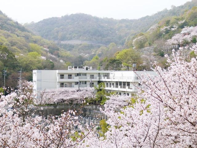 桜に囲まれた施設外観  