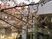 桜が咲く外観  