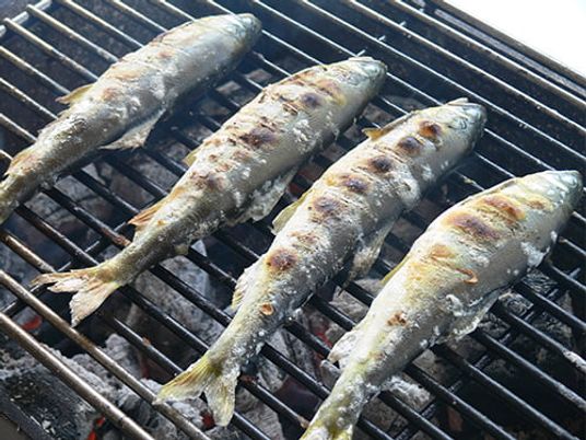 炭火焼きの魚