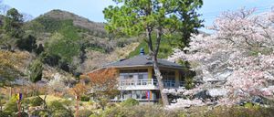 自然に囲まれた建物  