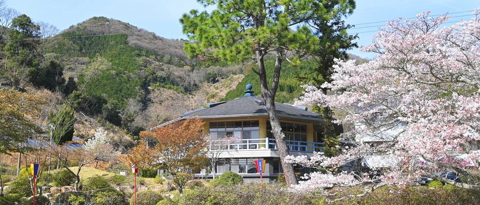 自然に囲まれた建物  