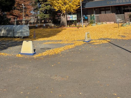 落ち葉のある施設の外観  