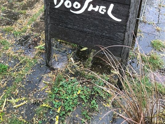 看板の足元の庭  
