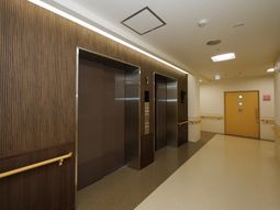 清潔な廊下とエレベーター