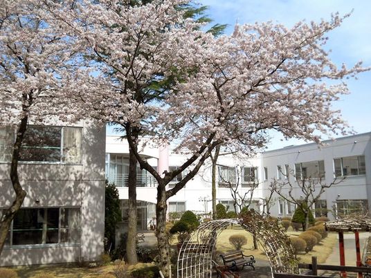 桜並木の中庭  