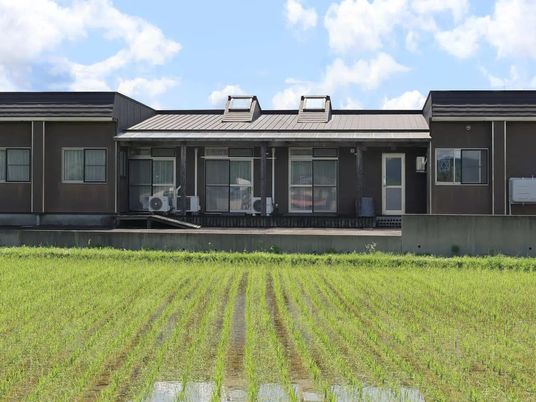 建物と田んぼの外観  