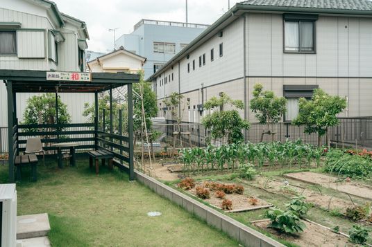 手入れされた野菜畑