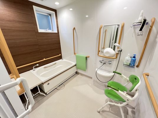 手すり付きの洗面浴室