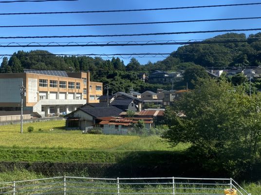 緑豊かな地区の建物
