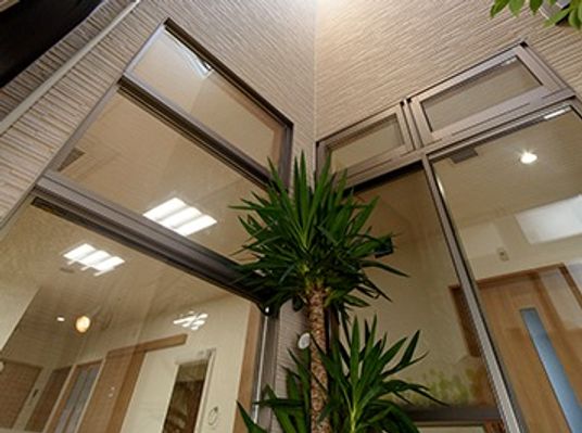 明るいエントランスの緑植物