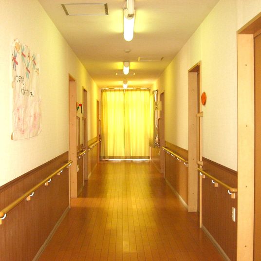 優しい光が差し込む廊下