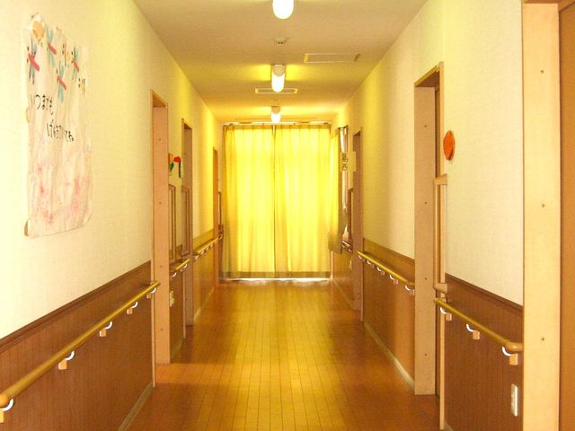 優しい光が差し込む廊下 廊下 自然光が優しく差し込み、心地よい過ごしやすさを感じられる空間です。