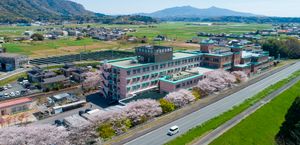 桜並木の外観